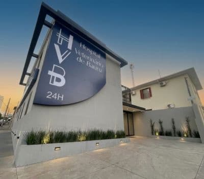 Recepção do HVB