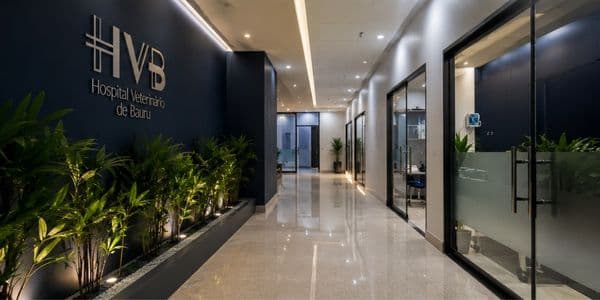 Interior do HVB
